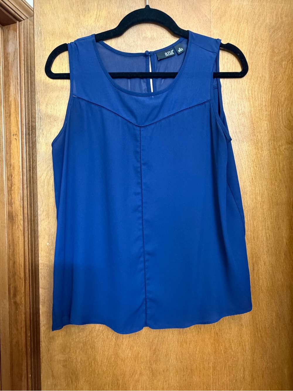 Ana Sleeveless Blue Top